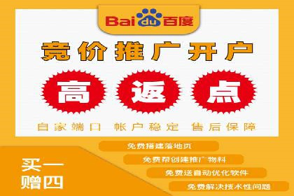 百度竞价排名：从失败到成功的转型案例